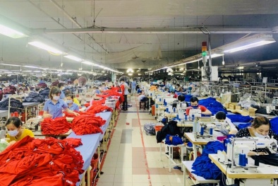 Quyết tâm của lãnh đạo - yếu tố then chốt trong áp dụng thành công tiêu chuẩn ISO 14001:2015 