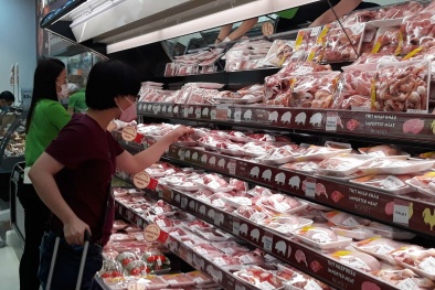 Phổ biến, hướng dẫn áp dụng tiêu chuẩn quốc gia về truy xuất nguồn gốc cho doanh nghiệp