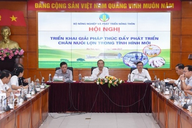 Tăng cường chuyển đổi số, đẩy nhanh ứng dụng khoa học công nghệ vào ngành chăn nuôi lợn