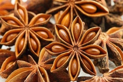 Thủ tướng chỉ đạo hỗ trợ các doanh nghiệp xuất khẩu hồ tiêu sang thị trường UAE