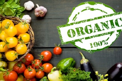 Tiêu chuẩn quốc gia về nông nghiệp hữu cơ: Hài hòa với tiêu chuẩn quốc tế, khu vực