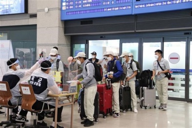 Cảnh báo lừa đảo tuyển dụng và thu phí lao động thời vụ đi Hàn Quốc
