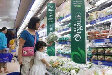 Hài hòa tiêu chuẩn quốc gia với tiêu chuẩn quốc tế góp phần nâng cao năng suất chất lượng 