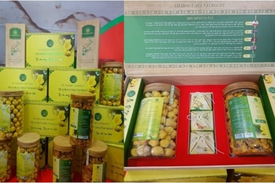 Ứng dụng khoa học và công nghệ phát triển bền vững các sản phẩm OCOP 