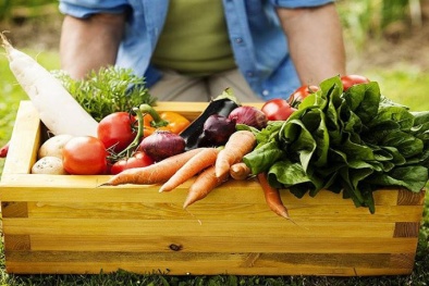 Ban hành tiêu chuẩn nông nghiệp hữu cơ hỗ trợ hoạt động sản xuất kinh doanh