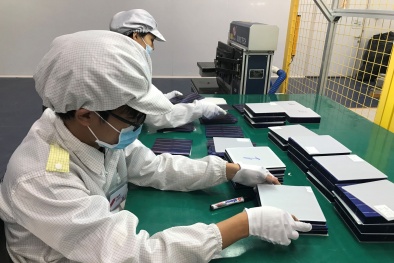 Thông báo của Ấn Độ về kiểm soát chất lượng dây dẫn điện