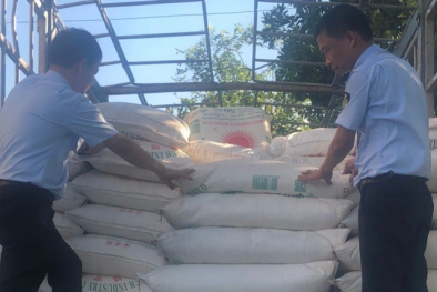 Hà Tĩnh: Liên tiếp phát hiện, xử phạt nhiều vụ vận chuyển đường cát nhập lậu