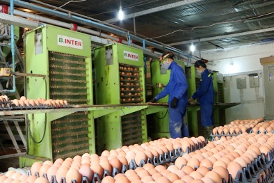 Quảng Ninh: Hỗ trợ doanh nghiệp nâng cao năng suất, chất lượng