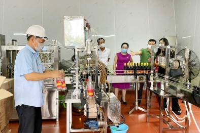 Quảng Ninh hỗ trợ doanh nghiệp trong hoạt động KHCN nhằm tăng năng suất, chất lượng