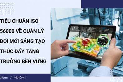 [Longform] Tiêu chuẩn ISO 56000 về quản lý đổi mới sáng tạo thúc đẩy tăng trưởng bền vững 