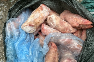 Ngăn chặn 1,5 tấn móng giò lợn không rõ nguồn gốc đã chuyển màu, chảy nước
