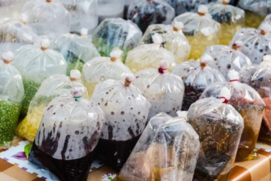 Dùng túi nhựa, hộp nhựa bọc thực phẩm để trong lò vi sóng có thể giải phóng hàng tỉ hạt vi nhựa