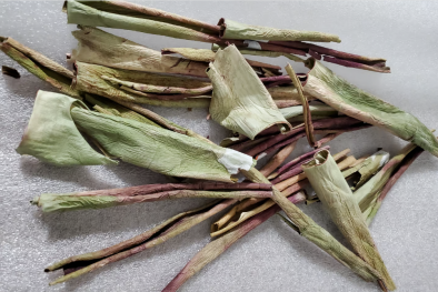 Phát triển vỏ cây lô hội thành thuốc trừ sâu thân thiện môi trường