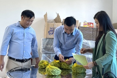 Hòa Bình hỗ trợ, kích hoạt trên 141.000 tem truy xuất nguồn gốc cho sản phẩm đưa ra thị trường
