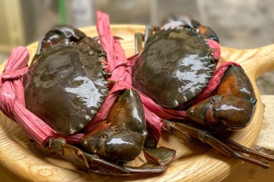 Cần tăng cường đảm bảo nguồn gốc, chất lượng và danh tiếng Cua Cà Mau