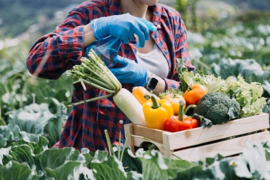 Tăng cường kiểm soát chất lượng nông sản xuất khẩu