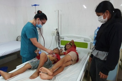 Nhiều trường hợp phải cấp cứu sau sử dụng cà độc dược