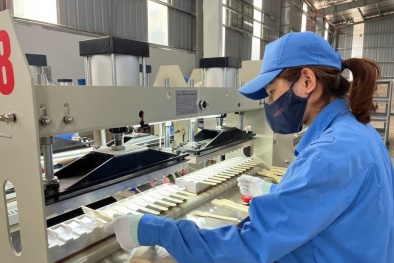 Tiêu chuẩn ISO/TR 56004: Cung cấp cách thức, kế hoạch, kết quả hoạt động quản lý đổi mới sáng tạo