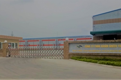 Xả thải vượt quy chuẩn, Công ty Hanoi Green Foods bị phạt 725 triệu đồng
