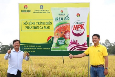 PVCFC tiên phong nghiên cứu, ứng dụng công nghệ tiên tiến sản xuất đạm hạt đục và NPK một hạt