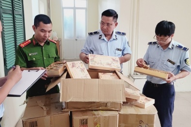 Hà Nội: Phát hiện cơ sở kinh doanh gần 1.000 chiếc bánh trung thu không đảm bảo an toàn