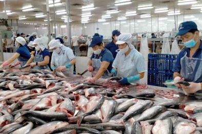 Hoa Kỳ tiếp nhận hồ sơ đề nghị rà soát thuế chống bán phá giá một số sản phẩm xuất khẩu Việt Nam