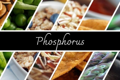Ăn nhiều thực phẩm giàu phosphate nguy cơ ung thư vú