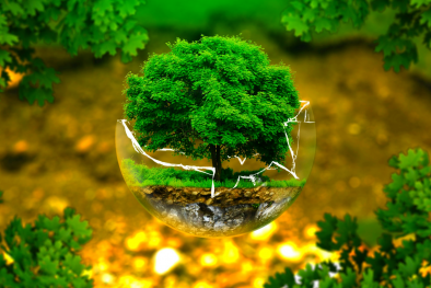 5 quy chuẩn về chất lượng môi trường xung quanh có hiệu lực từ 12/9