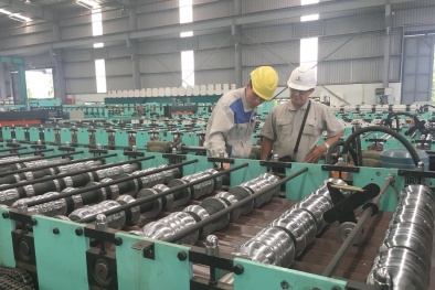 Thúc đẩy hoạt động tiêu chuẩn hóa, đáp ứng nhu cầu phát triển kinh tế - xã hội