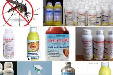 Xác định mã số hàng hóa cho hóa chất, chế phẩm diệt côn trùng