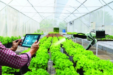 Nông nghiệp thông minh: Tiềm năng biến đổi của nông nghiệp dựa trên dữ liệu