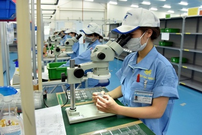 Vai trò của lãnh đạo đối với hoạt động quản lý chất lượng
