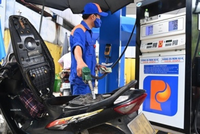 Xử phạt và tước giấy phép 16 doanh nghiệp phân phối xăng dầu