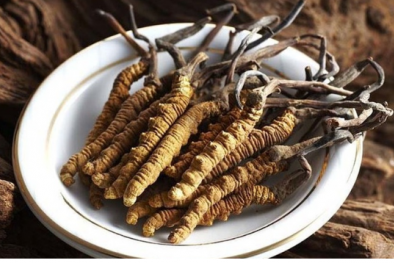 Đông trùng hạ thảo: Chưa đủ bằng chứng khoa học chứng minh có tác dụng chống ung thư