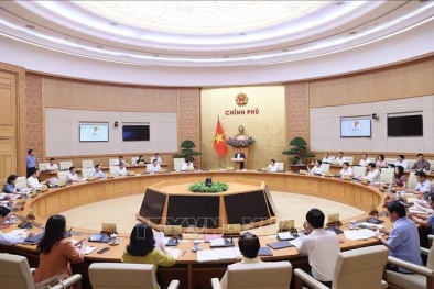 Nghị quyết phiên họp Chính phủ thường kỳ tháng 8 năm 2023