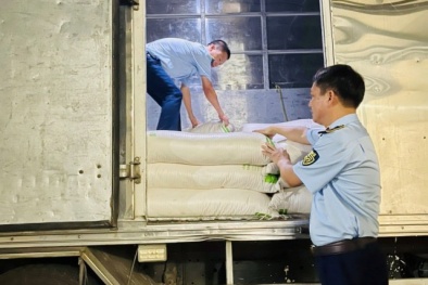 Hà Tĩnh: Phát hiện, thu giữ 3.000 kg đường cát nhập lậu