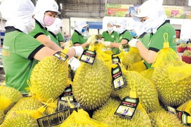 Giải quyết tình trạng vi phạm mã số vùng trồng, cơ sở đóng gói hàng nông sản Việt Nam