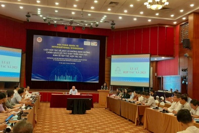 Tạo hành lang pháp lý thúc đẩy khu vực kinh tế tập thể, HTX phát triển 