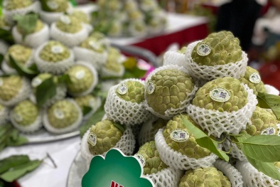 Kết nối đưa sản phẩm vùng cao tham gia vào chuỗi cung ứng