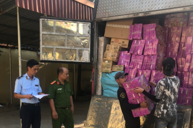 Vận chuyển 21.000 bánh Trung thu nhập lậu, không có nhãn phụ bằng tiếng Việt