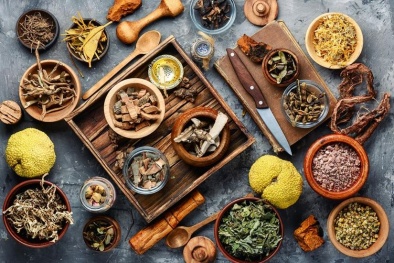 Bộ Y tế dự thảo Thông tư ban hành Danh mục dược liệu độc làm thuốc