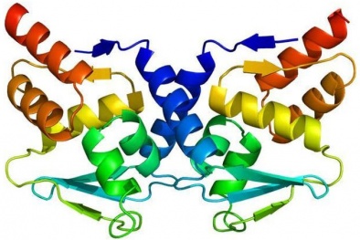 Phát minh ra một phân tử mới có thể khiến tế bào ung thư tự tiêu diệt