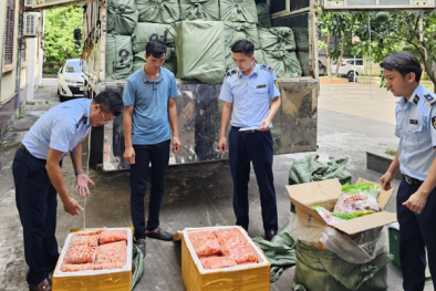 Quý III Bắc Ninh phạt vi phạm hành chính trên 10 tỷ đồng về kinh doanh hàng giả, nhập lậu