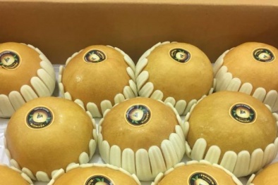 Lê Hàn Quốc bị giả mạo nguồn gốc xuất xứ tràn lan trên thị trường TP.Hà Nội