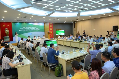 Vùng Trung du và miền núi Bắc Bộ: Liên kết toàn diện tạo phát triển đột phá