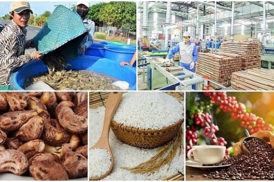 Đảm bảo tiêu chuẩn giúp hàng Việt cạnh tranh bình đẳng trên thị trường quốc tế