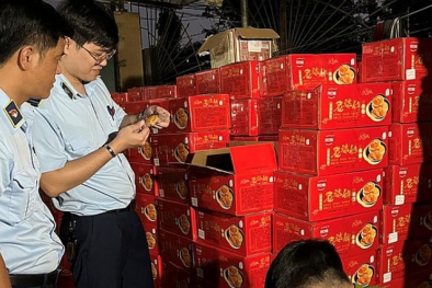 Ban Chỉ đạo 389 Hà Nội: Xử lý 2.050 vụ vi pham về hàng giả, sở hữu trí tuệ