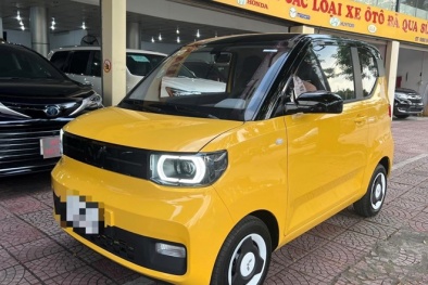 Quảng Ninh: Kiểm soát chặt ô tô điện nhập lậu do tiềm ẩn nhiều nguy cơ 