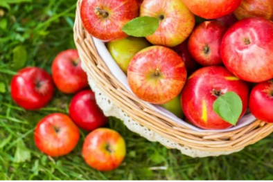 Táo nhập khẩu để 3 tháng không hỏng: Chuyên gia khuyến cáo gì?