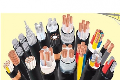 Cách lựa chọn dây, cáp điện theo đúng quy chuẩn giúp sử dụng an toàn, tiết kiệm điện
